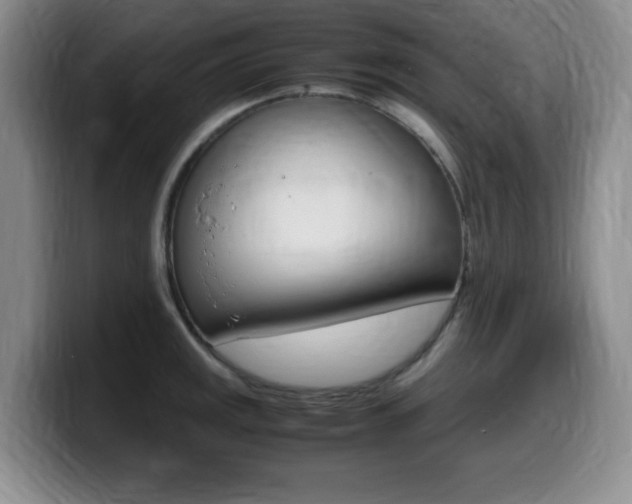 X0000099461141200805090742