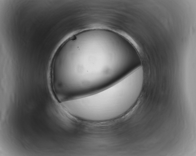 X0000099461142200805090742