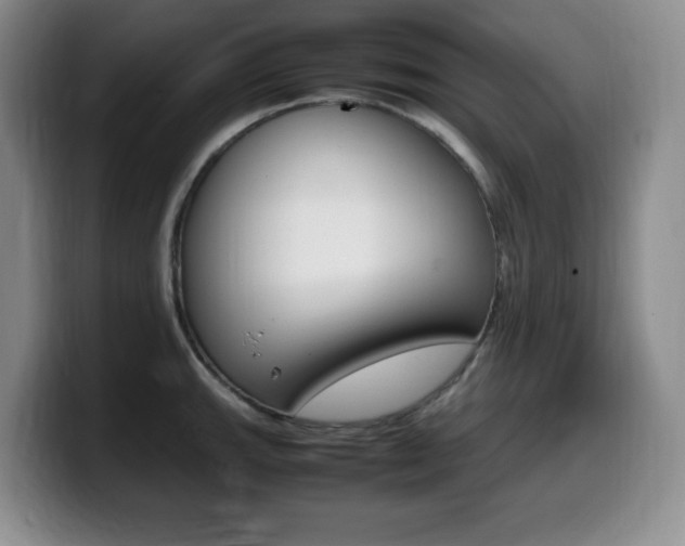 X0000099461143200805090742