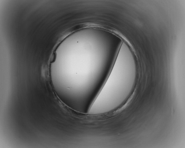 X0000099461145200805090742