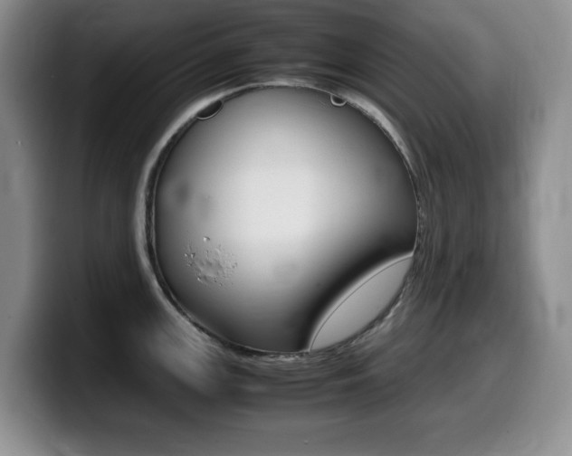X0000099461147200805090742