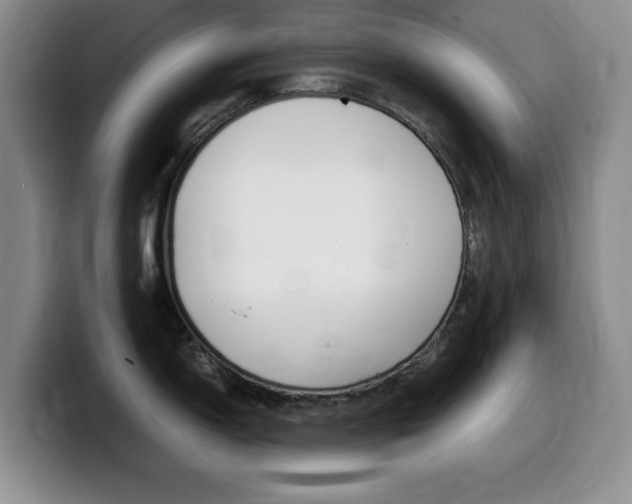 X0000099461150200805090742