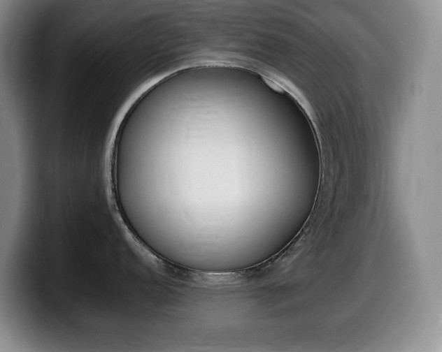 X0000099461152200805090742