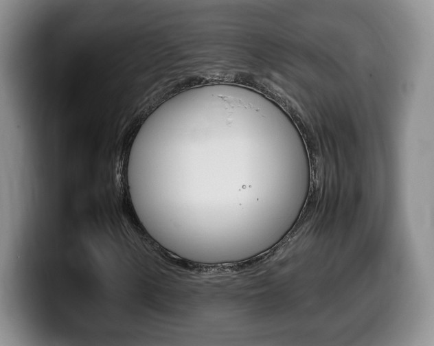 X0000099461154200805090742