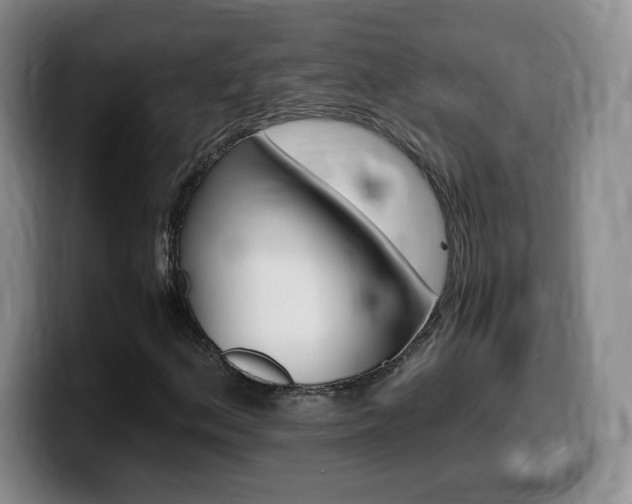 X0000099461156200805090742