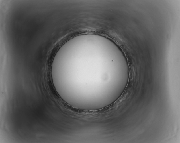 X0000099461158200805090741