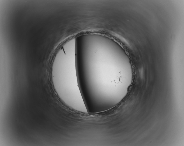 X0000099461160200805090741
