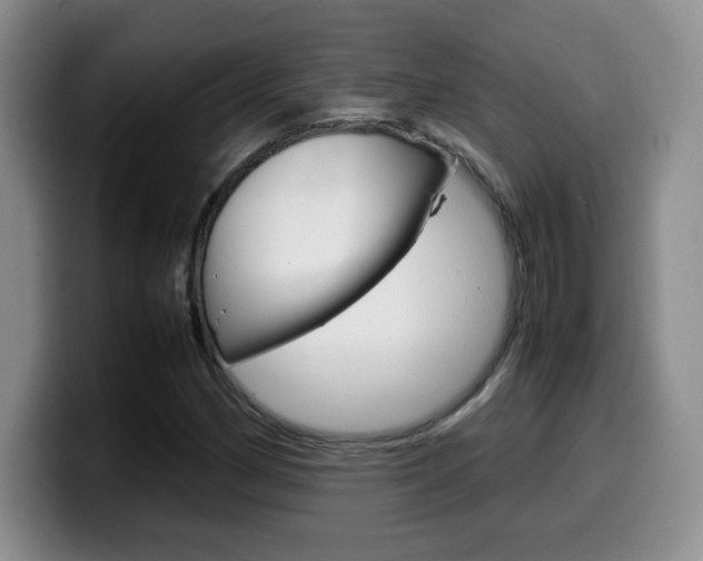 X0000099461162200805090741
