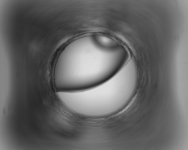 X0000099461163200805090741