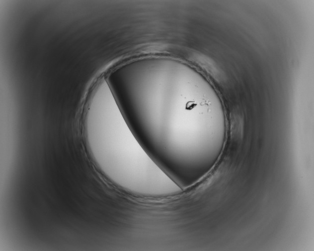 X0000099461164200805090741
