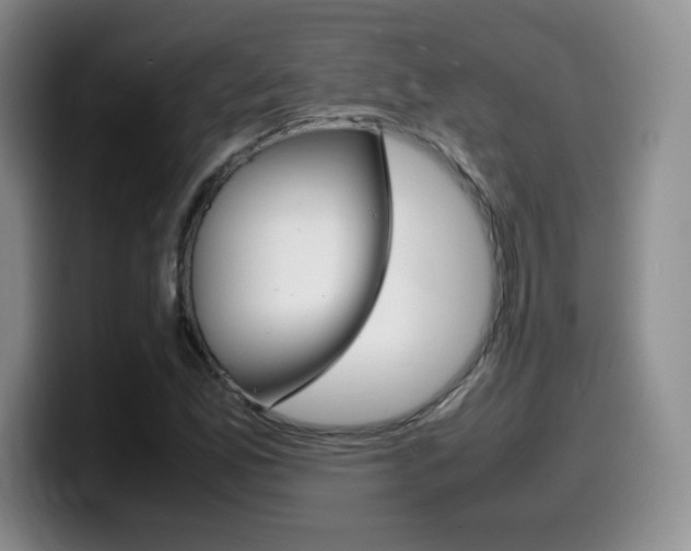 X0000099461165200805090741