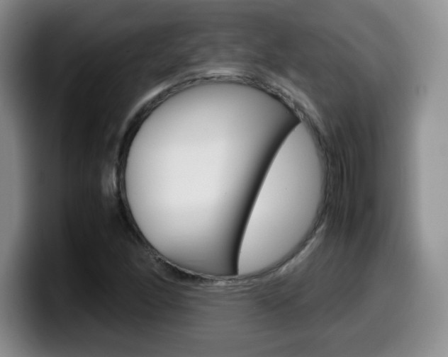 X0000099461166200805090741