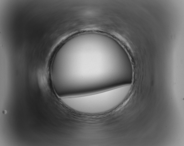 X0000099461167200805090741