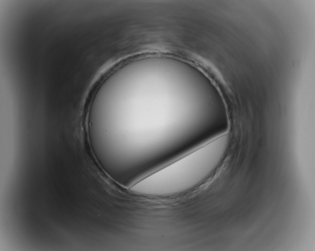 X0000099461168200805090741