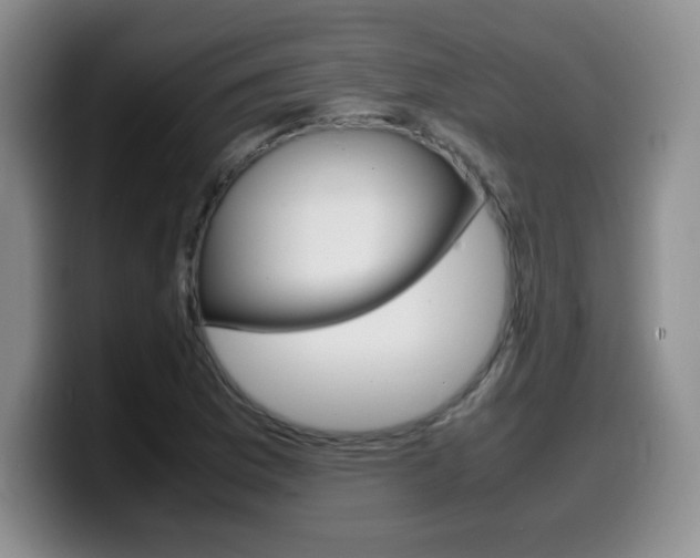 X0000099461169200805090741