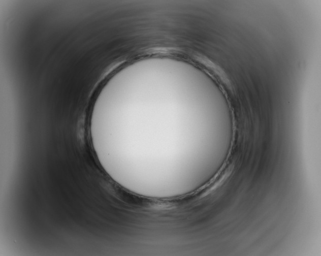 X0000099461170200805090741