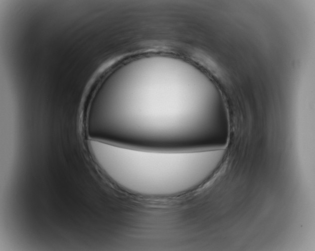 X0000099461172200805090741