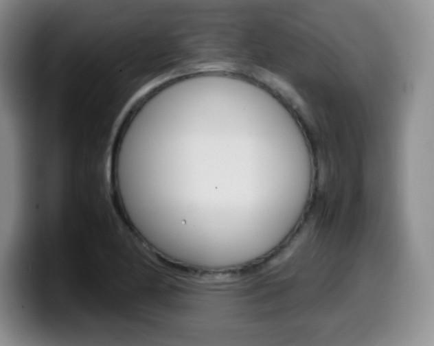 X0000099461174200805090741