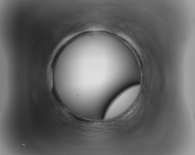 X0000099461175200805090741
