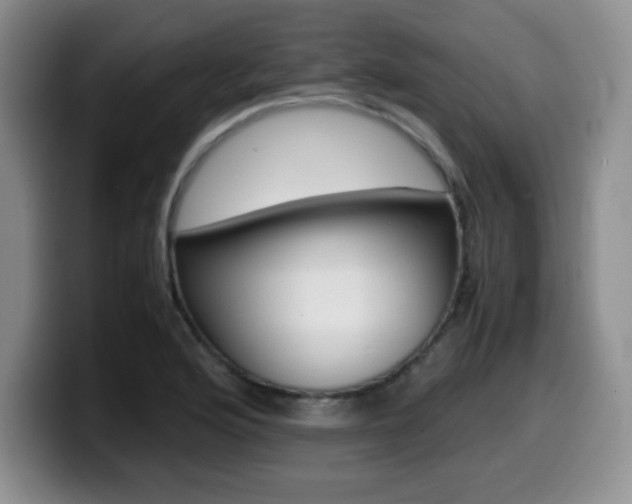 X0000099461176200805090741
