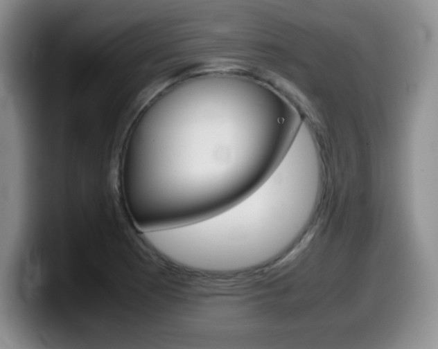 X0000099461177200805090741