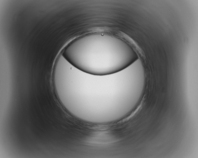 X0000099461178200805090741