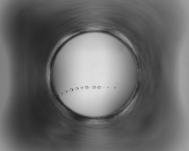 X0000099461179200805090741