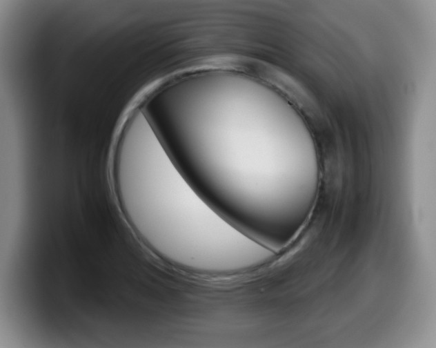X0000099461180200805090741