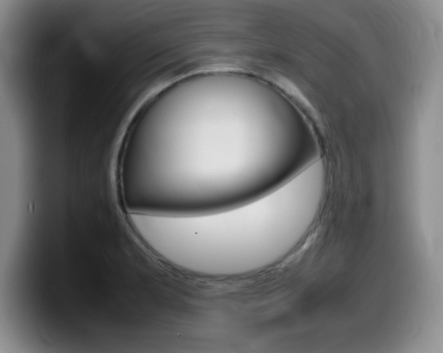X0000099461181200805090741