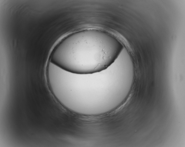 X0000099461182200805090741