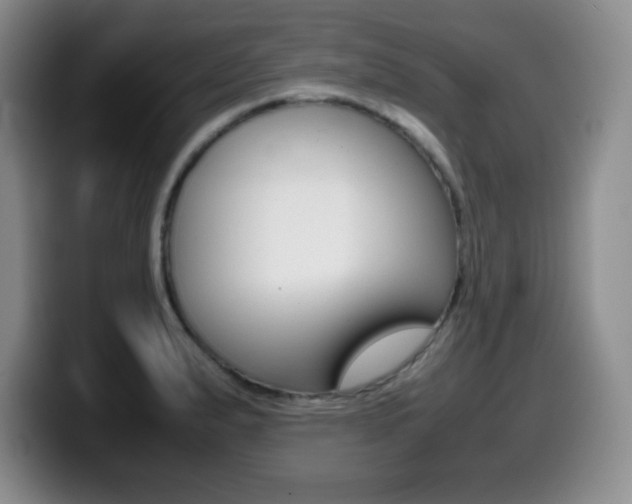 X0000099461183200805090741