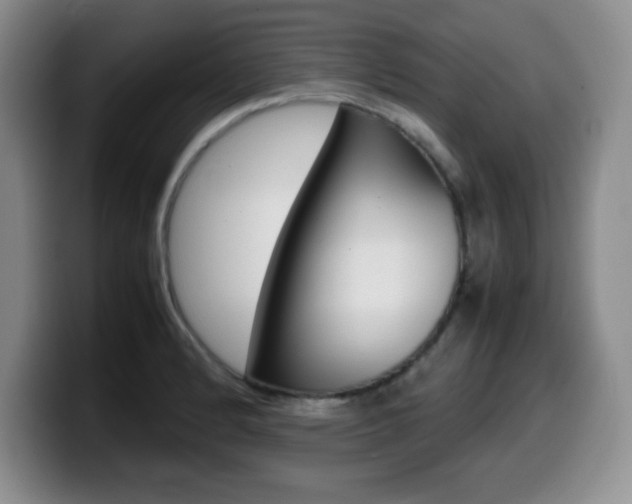 X0000099461184200805090741