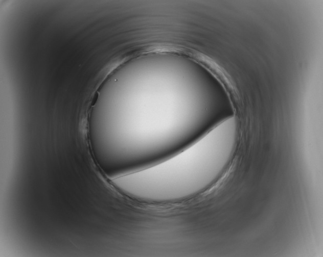 X0000099461185200805090741
