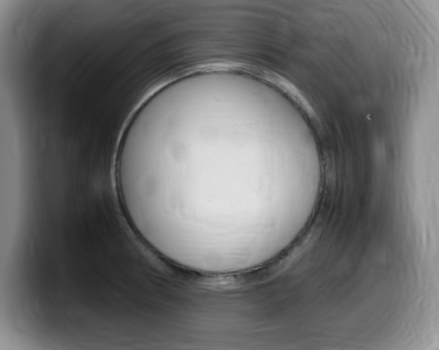 X0000099461186200805090741