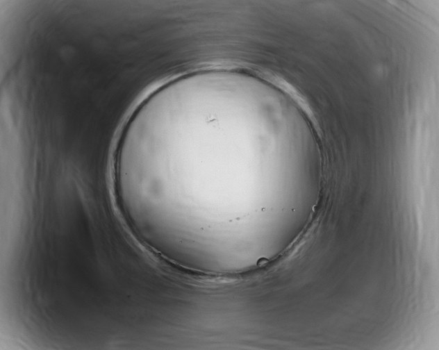 X0000099461187200805090741
