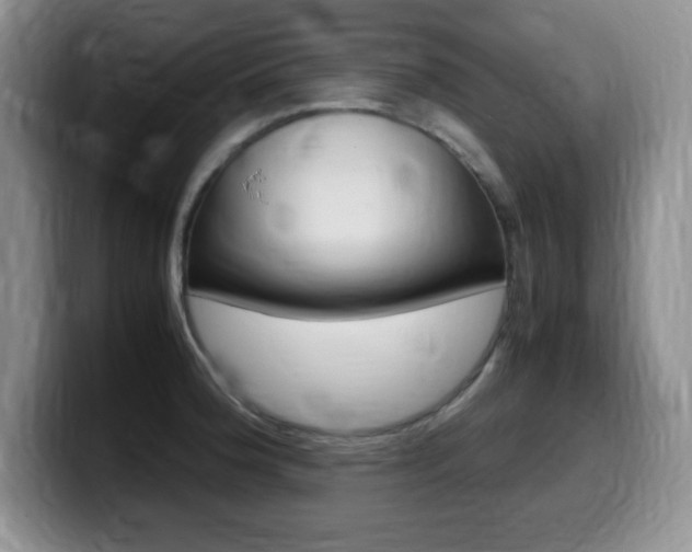 X0000099461188200805090741
