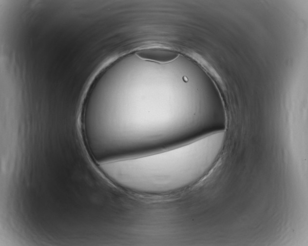 X0000099461189200805090741
