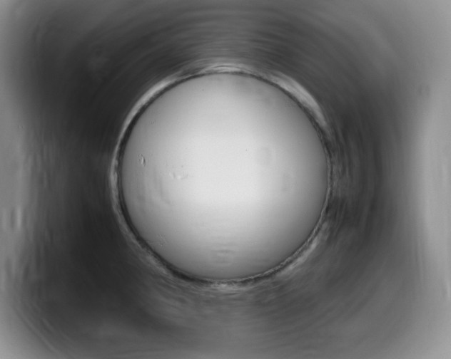 X0000099461190200805090741