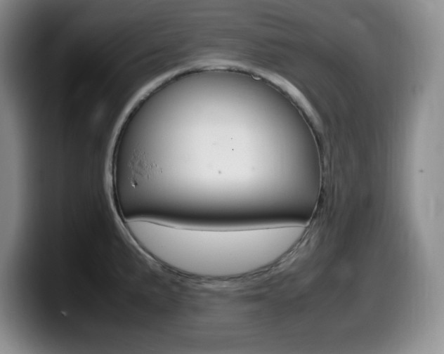 X0000099461191200805090741