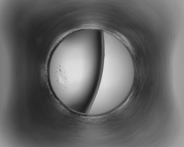 X0000099461192200805090741