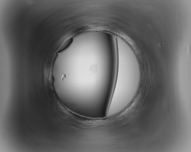 X0000099461193200805090741