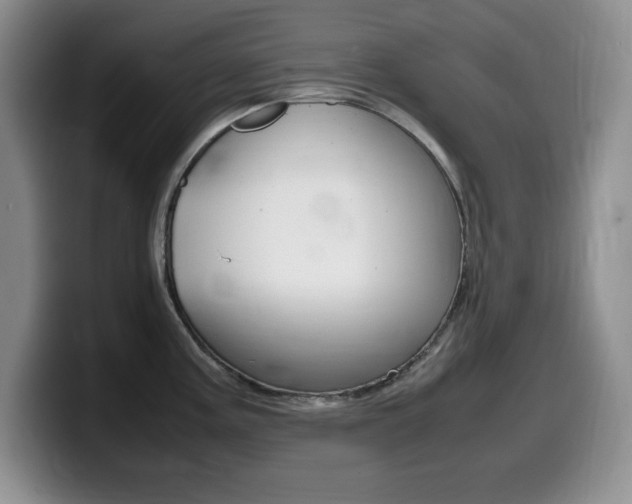 X0000099461195200805090741