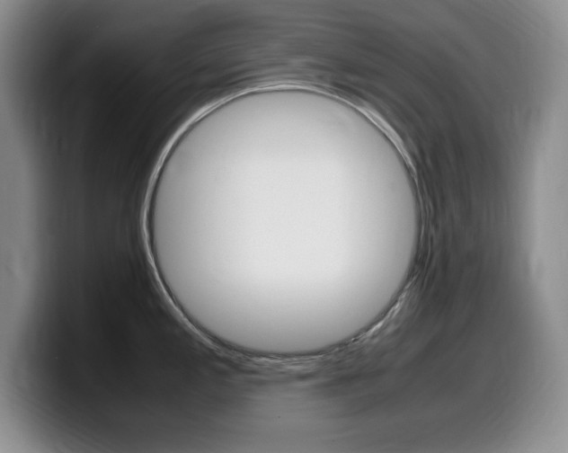 X0000099461197200805090741
