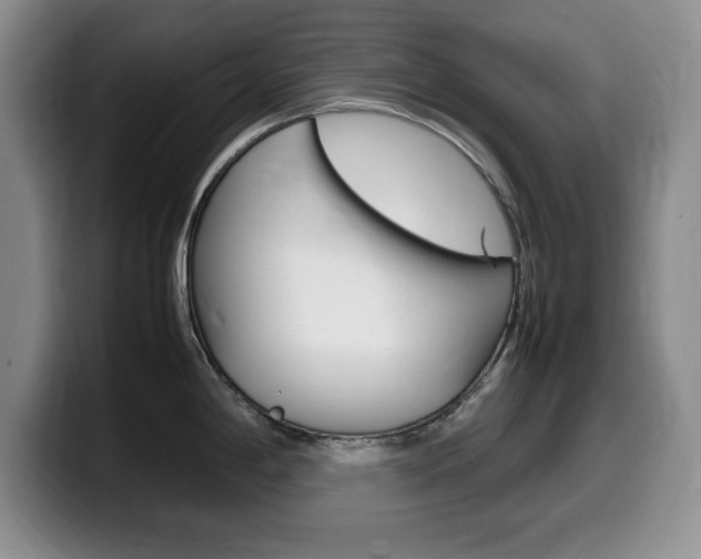 X0000099461198200805090741