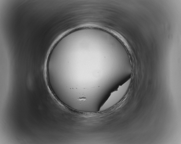 X0000099461199200805090741