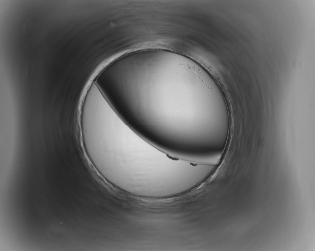 X0000099461200200805090741