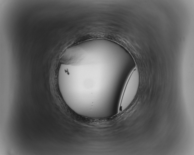 X0000099461201200805090740