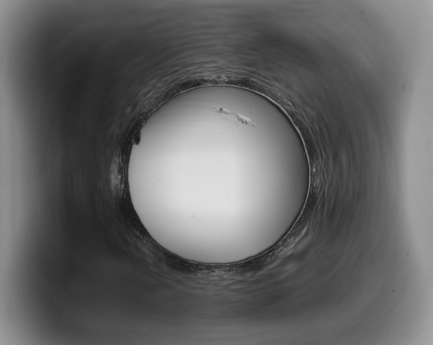 X0000099461202200805090740