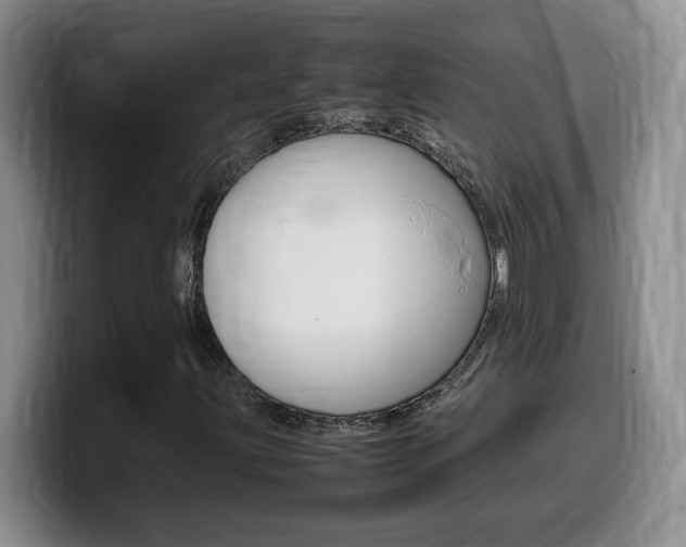 X0000099461203200805090740