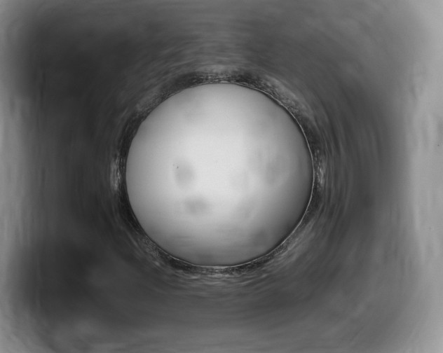 X0000099461204200805090740
